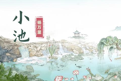 《小池》古诗理解