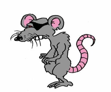 <p>What is the name of this animal?</p>