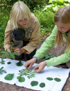 <p>Which of the following is wrong?</p>