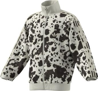 <p>2026年1月推出的ANIMAL PRINT TT系列服装的主要特点包括？</p>