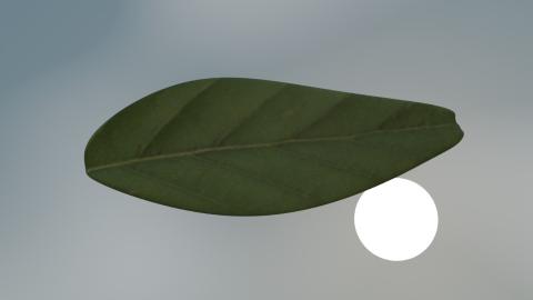 <p>17</p>