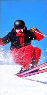 <p>以下选项哪个不属于迪桑特雪服产品设计的？</p>