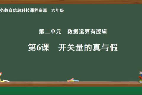 开关量的真与假