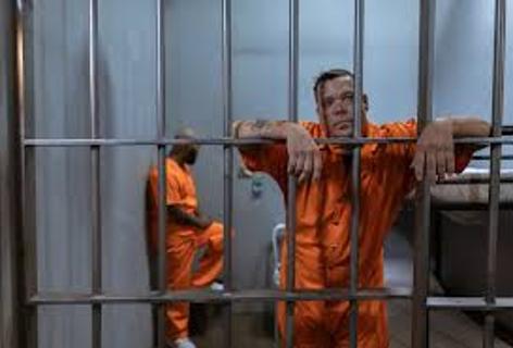 <p>选择与图片<strong>不符</strong>的表述</p>