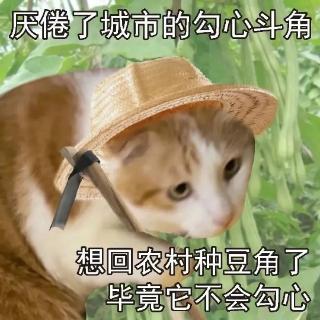 <p>将出质主体与对应的表决要求匹配：</p>