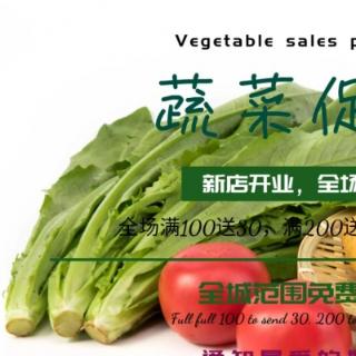 <b>在模板中可以创建的区域包括（ ）。</b>