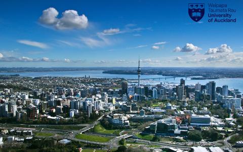 <p>在新西兰kiwi代表什么？</p>