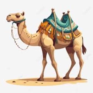 <p>Where does a camel live?</p>