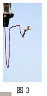 <p>如图 3 的蹦极运动中，人从上往下落的力最有可能的是（ ）。<span data-tex=""> </span></p>