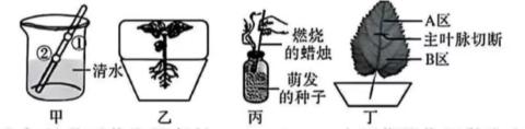 <p>下列叙述与如图的实验装置相符的是&#xff08;&#xff09;</p>