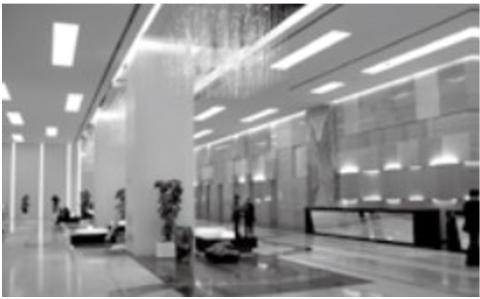 <p>下列哪个单词描述了图片？</p>