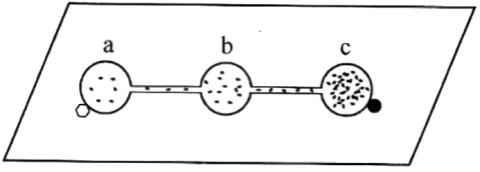 <p>某同学为探究草履虫能否对外界刺激作出反应，在载玻片的a、b、c三处各滴两滴草履虫培养液，将其连通，a处边缘放一粒食盐、c处边缘滴一滴肉汁，一段时间后，实验结果如图。下列相关叙述不正确的是</p>