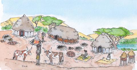 <p>The image illustrates the characteristics of which lifestyle?</p>