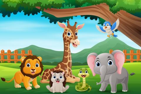 Funny Animals