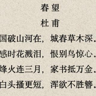 <span><span>&nbsp;《春望》中写战火连绵，&nbsp;&nbsp;久盼家音，&nbsp;&nbsp;抒发千古以来战争中人们共同感受的名句</span><span>：</span></span>