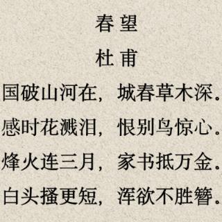 <span><span>杜甫在《春望》一诗中写国都沦陷，&nbsp;&nbsp;山河依旧，&nbsp;&nbsp;春天来临却杂草丛生且表现长安春</span><span>日满目凄凉，&nbsp;&nbsp;传达出诗人忧国伤时&nbsp;</span>之<span>情的诗句是：</span></span>