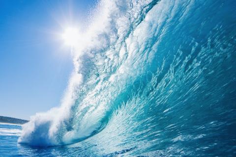 RO随堂测验