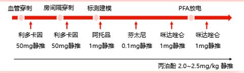 <p>下图中的麻醉方案属于</p>