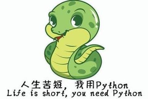 python编程入门