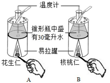 <p>七年级康康同学想探究花生仁和核桃仁中的能量是否一样多，设计了如下图所示装置进行探究，下列说法错误的是</p>