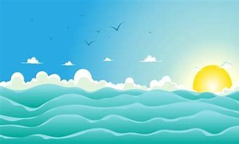 <p>What can you do in the sea?</p>