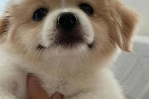 词语理解与运用