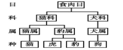 <p>如图是几种动物的分类表&#xff0c;下列叙述正确的是&#xff08;　　&#xff09;</p>