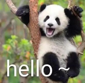 <p>What do we say when we meet each other at anytime?</p>