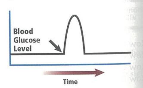<p>The graph shows blood glucose levels over a period of time. Which hormone might have caused a sudden surge as indicated by the arrow?<span data-tex=""> </span></p>