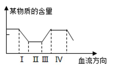 <p>12.如图是人体血液中某物质含量变化情况，Ⅰ、Ⅱ、Ⅲ、Ⅳ表示血液流经的器官或结构，说法不正确的是(     )<span data-tex=""> </span></p>