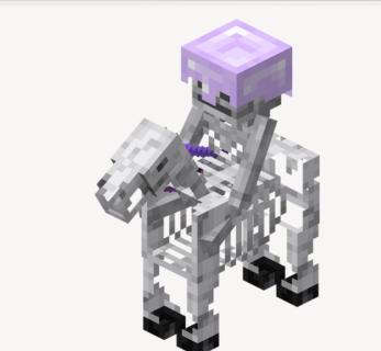 <p>这是什么？</p>