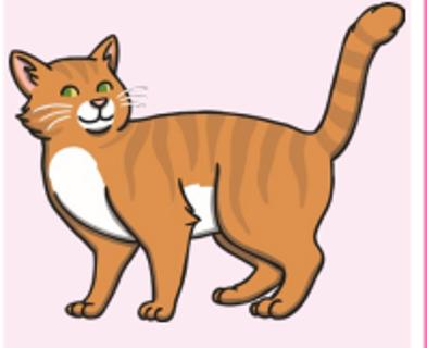 <p>What animal is it?</p>