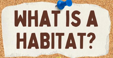 <p>What is a habitat?</p>