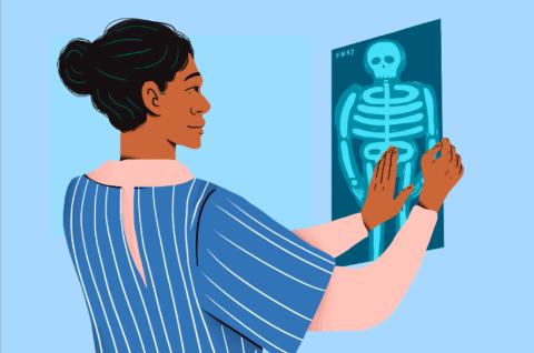 <p>How many bones does an adult human skeleton typically have?</p>