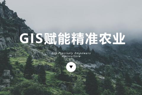 GIS