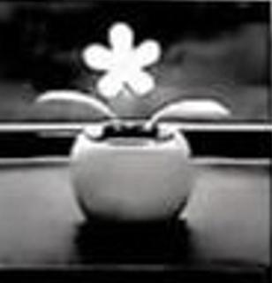 <p>如图所示是一种能在阳光下不断摆动的塑料小花，花盆表面有太阳能电板，很多司机将它放在汽车前挡风玻璃下。关于塑料小花不断摆动的描述，合理的是（　　）<span data-tex=""> </span></p>