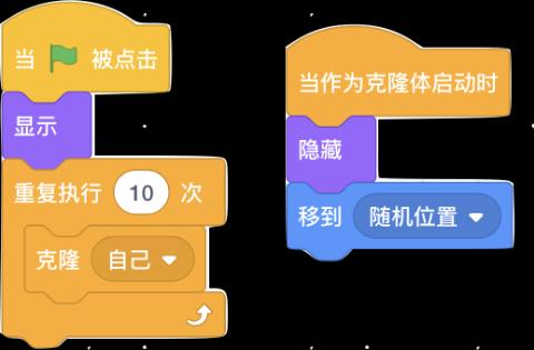 <p>小猫的程序如图，运行程序后，舞台上能看到几只小猫？</p>