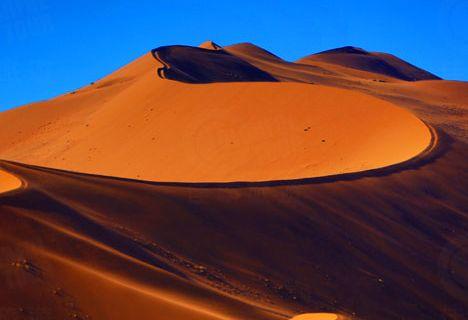 <p>How is the desert?</p>
