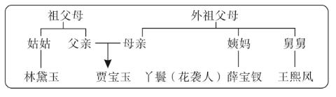 <p><strong>《红楼梦》中人物众多，如图展示了部分人物与贾宝玉的关系。下列说法中正确的是 (　　)</strong></p>