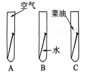 <p>如图11中B所示&#xff0c;铁钉一半在液面以上&#xff0c;一半在液面以下&#xff0c;然后置于空气中&#xff0c;则铁钉最容易生锈的部位是&#xff08;　　&#xff09;。</p>