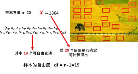<p>样本容量为n的单样本&#xff0c;自由度为n-1&#xff0c;是因为受到了_____的限制&#xff0c;减少了1个自由度。 </p>