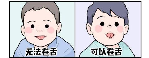 <p>某同学父母都能卷舌&#xff0c;自己却不能。已知&#xff0c;卷舌和不能卷舌是由一对基因控制的相对性状。请问&#xff0c;父母现在怀有二胎&#xff0c;1个月后给他生下卷舌弟弟的概率是多少&#xff08; &#xff09;</p>