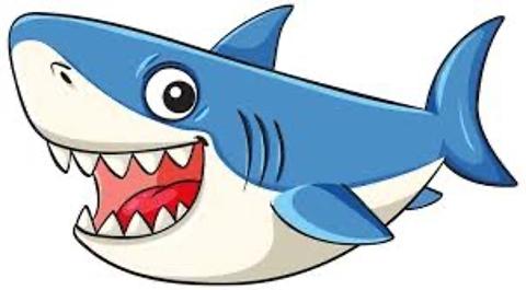 <p>Where does a shark live?</p>
