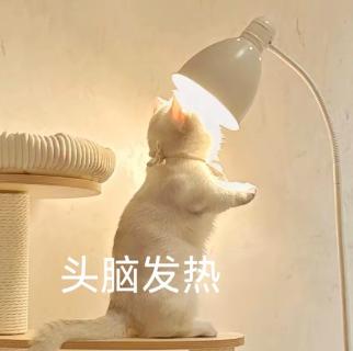 <p>有限合伙人依法享有的知情权包括（ ）</p>