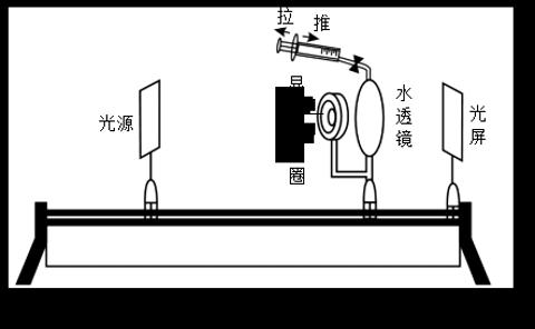 <p>下图为同学们制作的眼球结构模型（注：向内推注射器可使水透镜曲度变大，反之则变小），用于演示眼球的成像过程。下列说法正确的是</p>