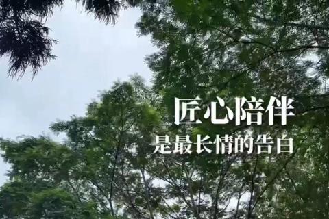 综合电子仪表系统原理与操作