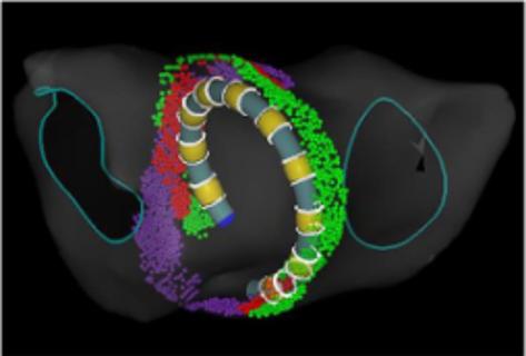 <p><strong>Phase 3版本中该功能绿色点会出现在哪种情境中</strong></p>