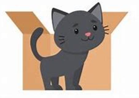 <p>The cat is <u>           </u> the box.</p>