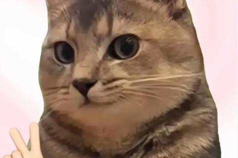 802音乐常识 ： 痒瘦局（别开小号