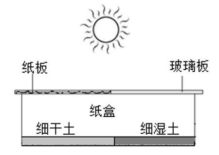 <p>某生物兴趣小组探究“光对蚯蚓分布的影响”，使用了10只蚯蚓，设计了如图所示的实验。下列对本方案的修改，正确的是（       ）</p>